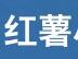红薯小说网